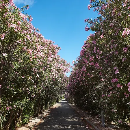 Voi Tanka Selected 4*